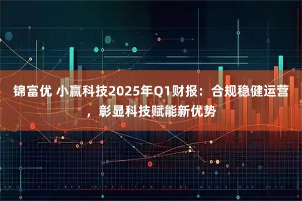 锦富优 小赢科技2025年Q1财报：合规稳健运营，彰显科技赋能新优势