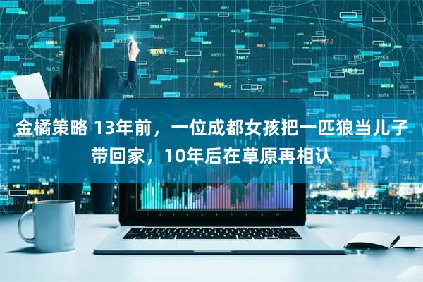金橘策略 13年前，一位成都女孩把一匹狼当儿子带回家，10年后在草原再相认