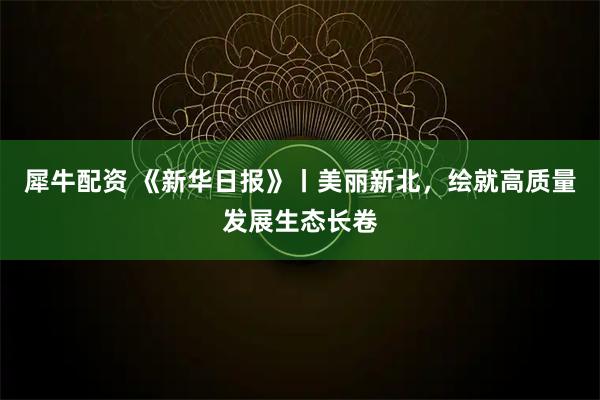 犀牛配资 《新华日报》丨美丽新北，绘就高质量发展生态长卷