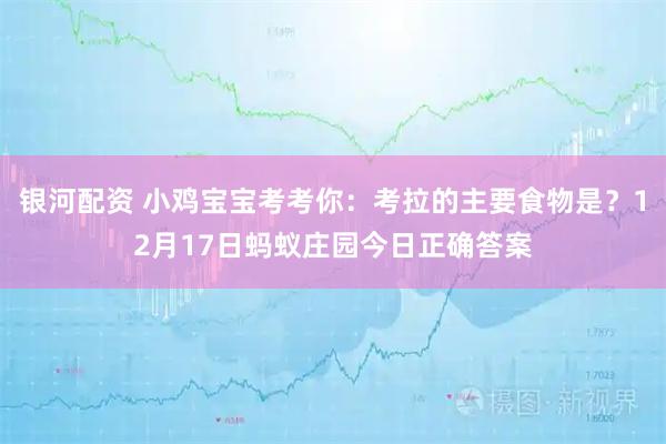 银河配资 小鸡宝宝考考你：考拉的主要食物是？12月17日蚂蚁庄园今日正确答案
