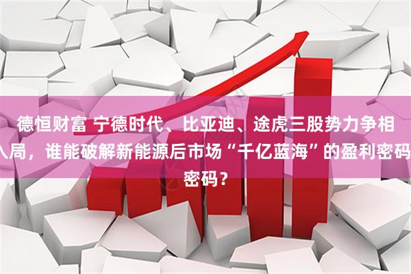 德恒财富 宁德时代、比亚迪、途虎三股势力争相入局，谁能破解新能源后市场“千亿蓝海”的盈利密码？